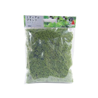 ミディアムプランツ ライトグリーン [24-539]]