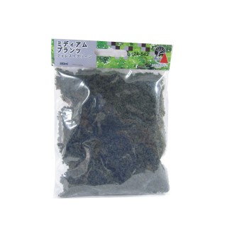 ミディアムプランツ フォレストグリーン [24-542]]