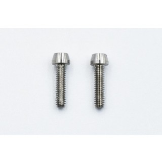 SPMチタン製 M2×8mm キャップスクリュー(2個入) [RT-C28]]