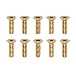 ●高精度切削 ブラス製フラットヘッドスクリュー M3×10mm(10本入) [RP-042-10BA]]