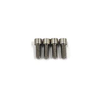 SPMチタン製 M2×5mm キャップスクリュー(4本入) [RT-004A]]