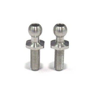 SPMチタン製 ロッドエンドボール(Lサイズ/2本入) [RT-006LA]]