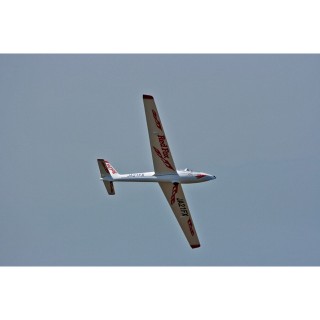 FOX2.1-Slllホワイト [CAS-11144]]